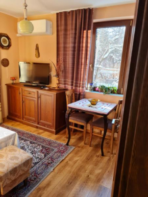 Cozy apartment with balcony